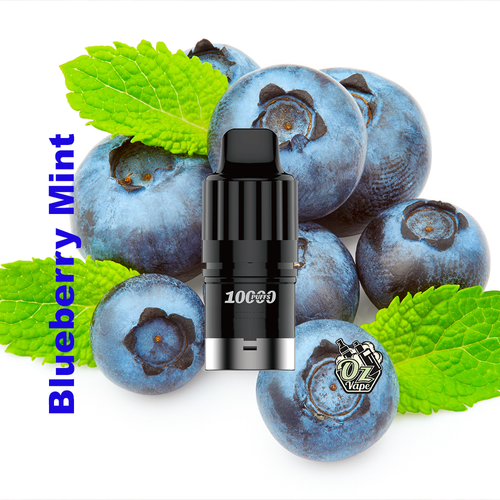 iGet Bar Plus S3 Pod Only – Blueberry Mint – 10,000